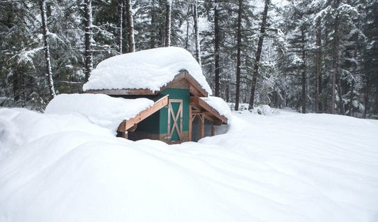 Winterize Your Chicken Coop