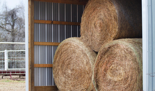 Winter Feed Management: Keeping Hay, Grain, and Supplements in Top Condition